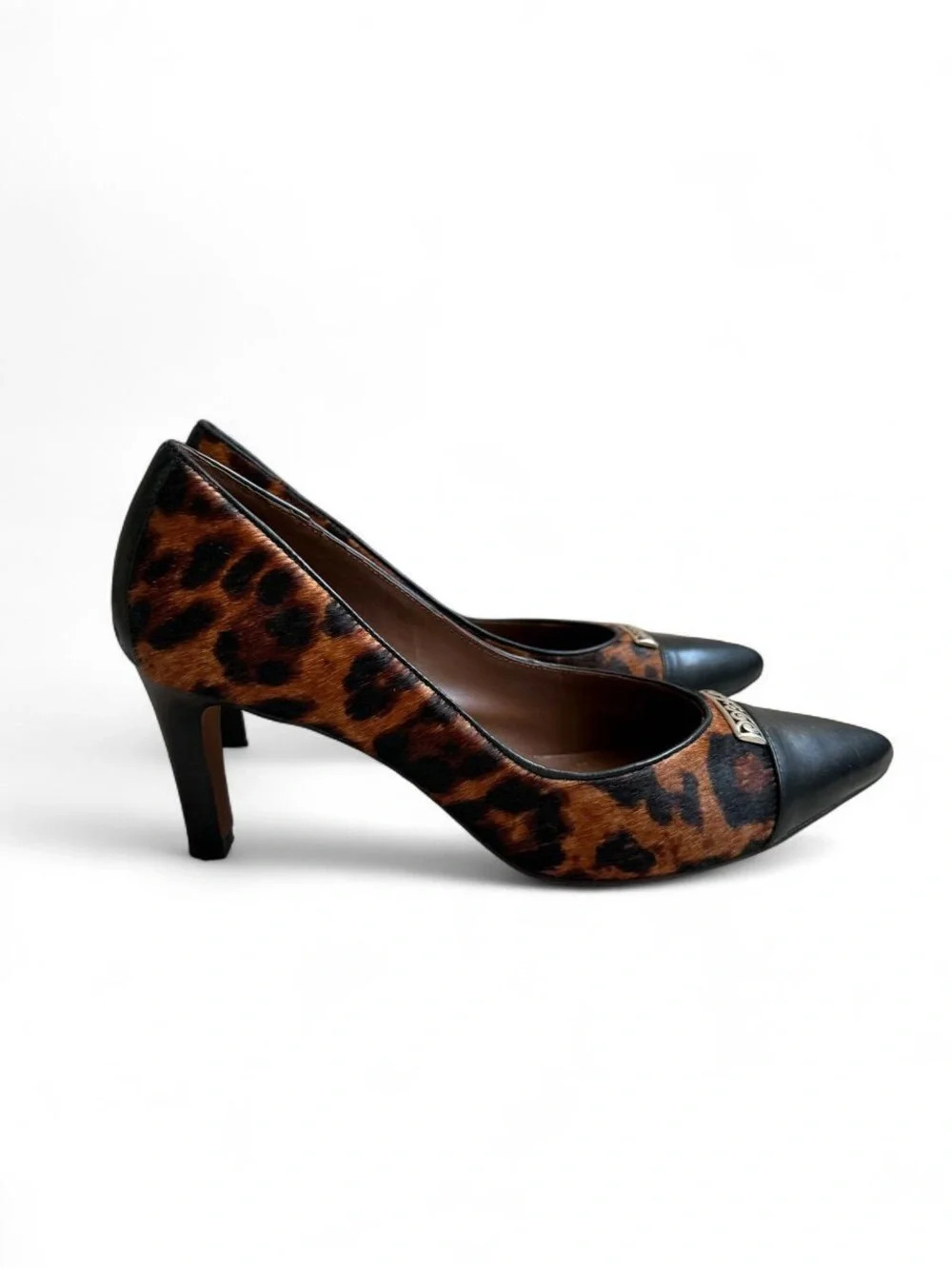 Brighton sophisticated leopard